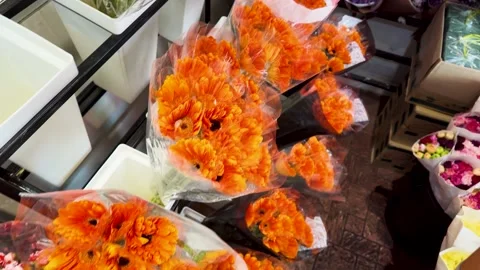 Orange Gerbera Daisy Bouquets in Plastic Wrap at Flower Market Stock Footage 344089599