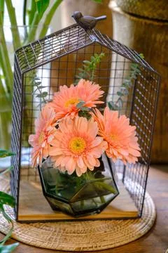 Orange Gerbera in the jug Stock Photos