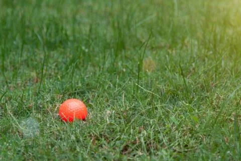 Orange golf ball on green grass 스톡 사진