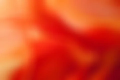Orange gradient design abstract backgrounds Stock Illustration