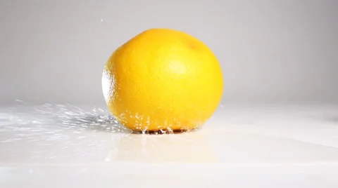 Orange grapefruit fall on white surface Stock Footage 63076710
