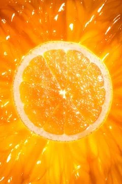 Orange grapefruit  Stock Photos