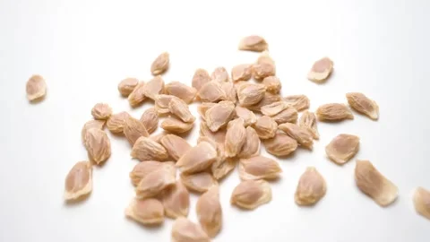 Orange grapefruit seeds view in white background Stock Footage 282848799