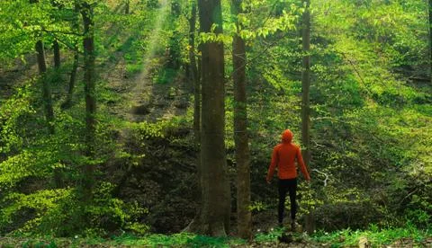 Orange green Stock Photos