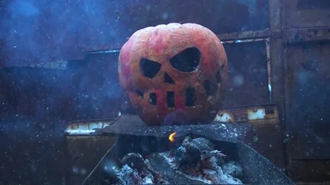 Orange halloween pumpkin 動画素材 221906315