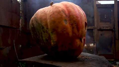 Orange halloween pumpkin Stock Footage 221906410