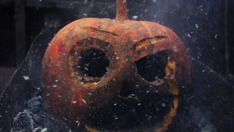 Orange halloween pumpkin Vidéo 221906430