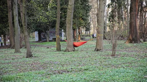 Orange Hammock Hanging Between Trees in a Peaceful Spring Park Stock Footage 332239862