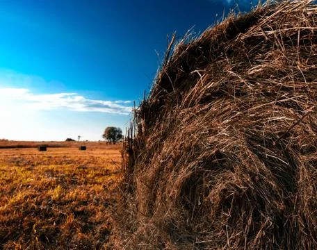 Orange hayrick/haystack Stock Photos
