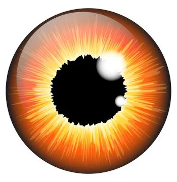 Orange, hazel  iris eye realistic  vector set design isolated on white backgr Illustrazione stock