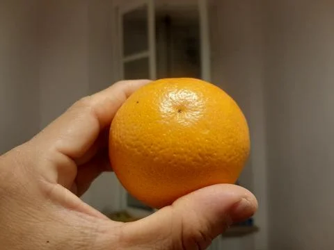 Orange holding by hand Stock Photos