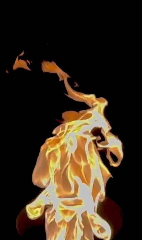 Orange hot fire flames isolated on black background Stock Footage 311570574