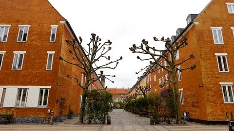 Orange houses of Nyboder. Nyboder is a historic row house Copenhagen, Denmark Stock Photos