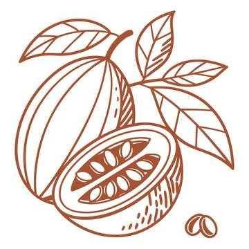 Orange Icon Outline Vector on White Background Stock Illustration
