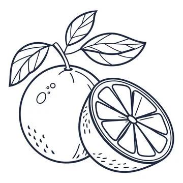 Orange Icon Outline Vector on White Background Stock Illustration