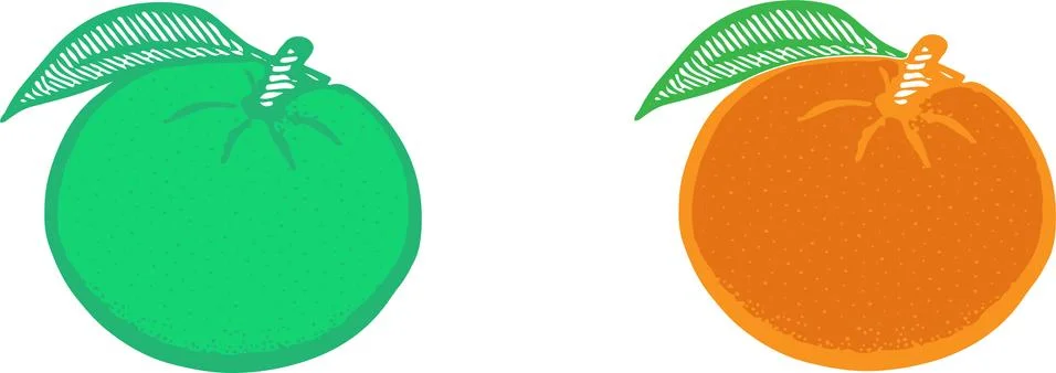 Orange icon on white background Stock Illustration