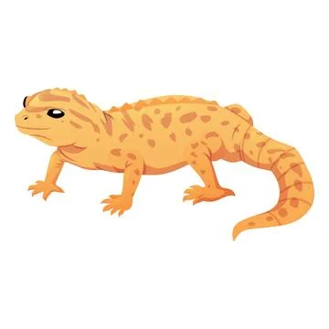 Orange iguana, vector flat exotic guana pet from jungle, cute spotted chameleon Stock Illustration