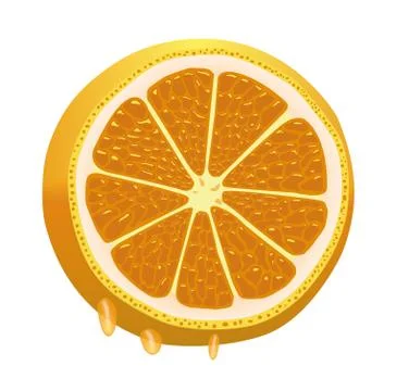 Orange Stock Illustration