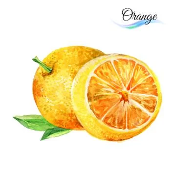 Orange Stock Illustration