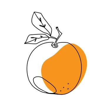 Orange Stock Illustration