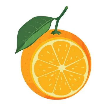 Orange Stock Illustration