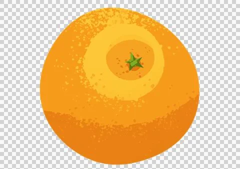 Orange illustration on a transparent background Stock Illustration