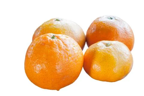 Orange image isolated on whitebackground Foto stock