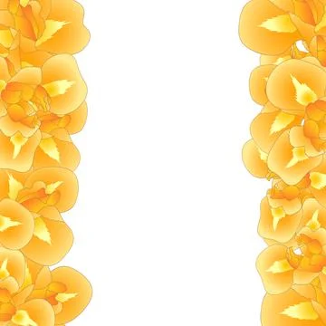 Orange Iris Flower Border Stock Illustration