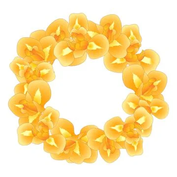 Orange Iris Flower Wreath Stock Illustration