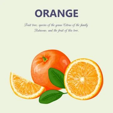 Orange. Isolated objects Stock Illustration