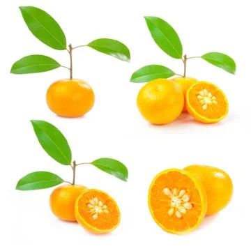 Orange isolated Stock Photos
