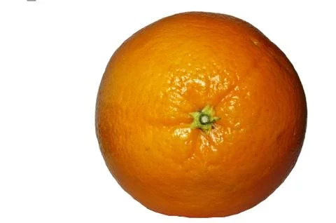 Orange isolated Stock Photos