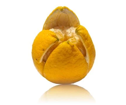 Orange isolated on a white background Stock Photos