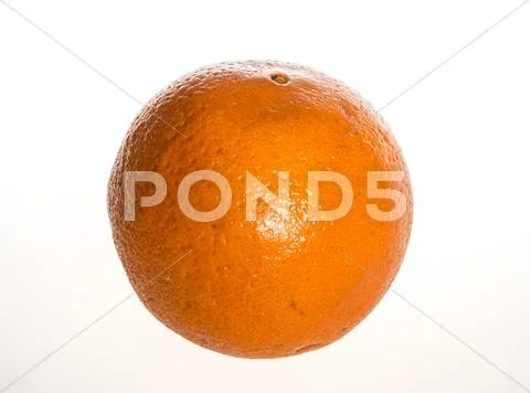 Orange isolated on a white background Stock Photos