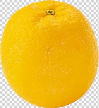 Orange isolated on white background Stock Photos