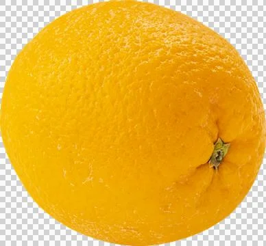 Orange isolated on white background Stock Photos