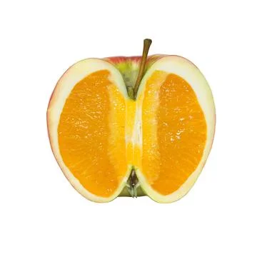 Orange isolated on white Stock Photos