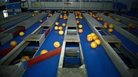 Orange Juice Factory, Portakal Suyu Fabrikası Stock Footage