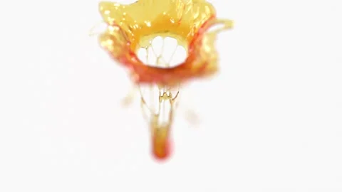 Orange juice splash yellow liquid on white bg rotate endless Stock Footage 328813623