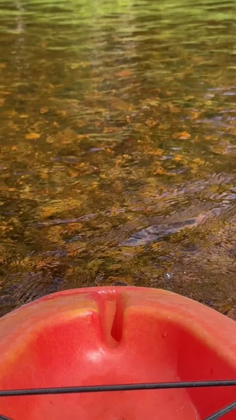 Orange Kayak Bow Gliding Over Clear River Water Stock Footage 346503107
