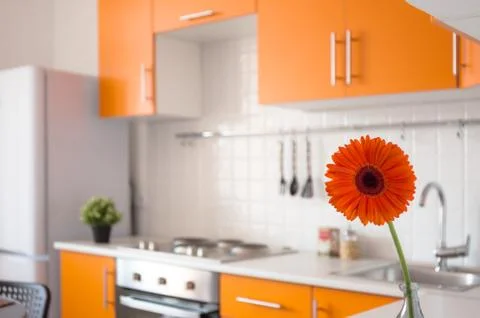 Orange kitchen with flower Stock Photos