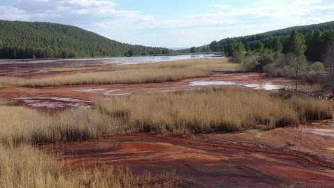 Orange lake. Ecological catastrophy. Stock Footage 129851217
