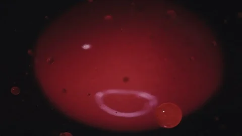 Orange Lava Bubbles Ascending Stock Footage 84138472