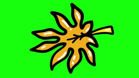 Orange Leaf 4k Stock Footage 249390081