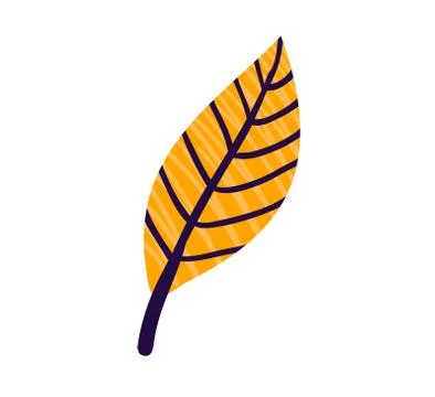 Orange leaf autumn, concept fallen leaflet from fall tree, single drawn sheet Stock Illustration