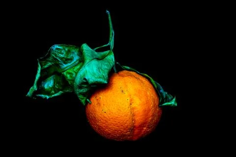 Orange with leaf on dark background Stock Photos