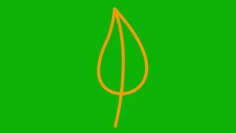 Orange leaf drawn green Stock Footage 246861998