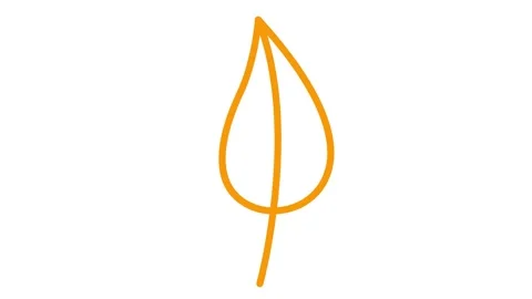 Orange leaf drawn white Video stock 246861999