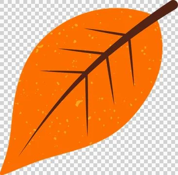 Orange leaf floating on transparent backdrop showing yellow speckles and brown Stock Illustration
