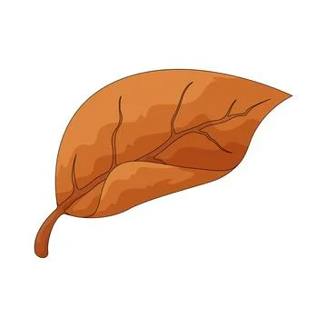 Orange leaf illustration Stock Illustration